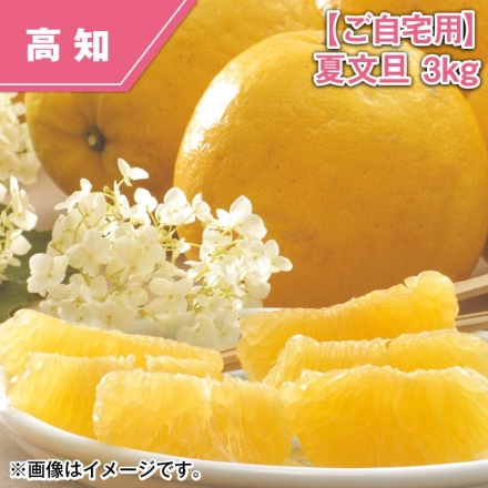 ご自宅用 夏文旦 3ｋｇ
