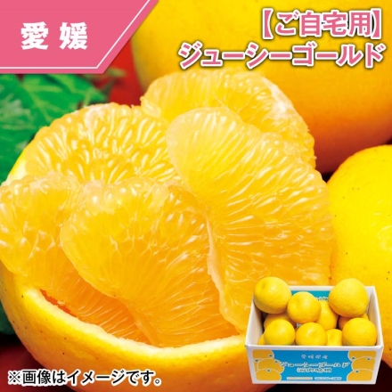 ご自宅用 ジューシーゴールド 4ｋｇ（M～3L混）