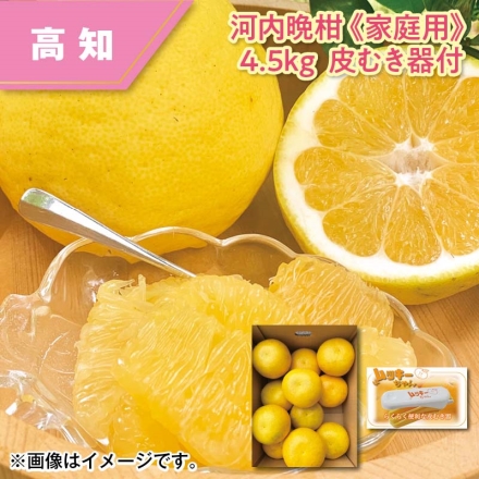 河内晩柑（家庭用）4.5ｋｇ 皮むき器付
