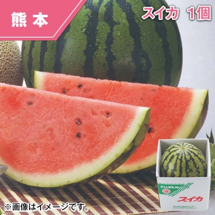 スイカ 1個