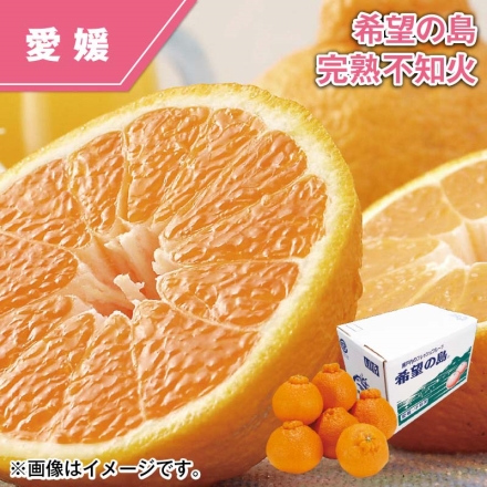 希望の島 完熟不知火 2kg（2L～4L混、秀：4～8個）