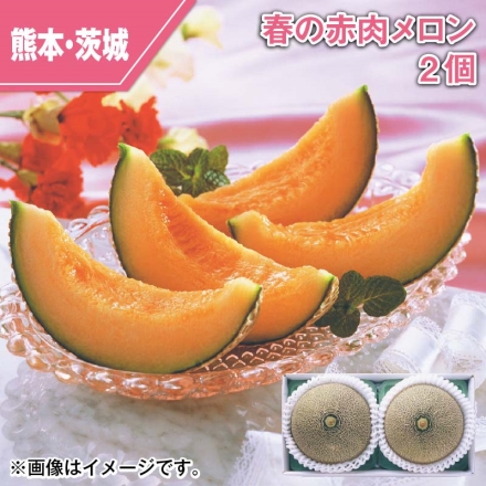 春の赤肉メロン 2個
