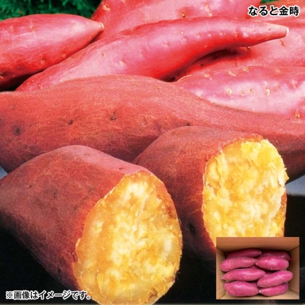 お歳暮のし付き なると金時 2.5kg