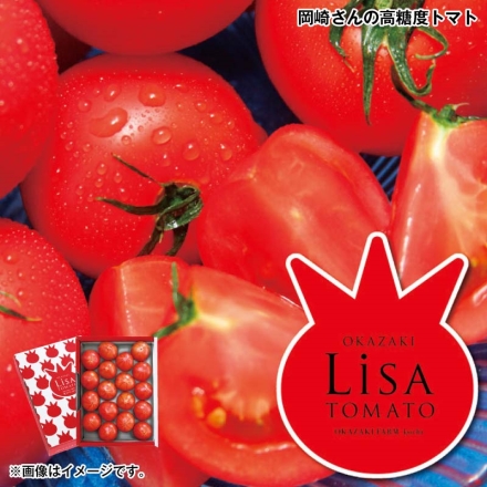 お歳暮のし付き 岡崎さんの高糖度トマト 1kg(12～21個)