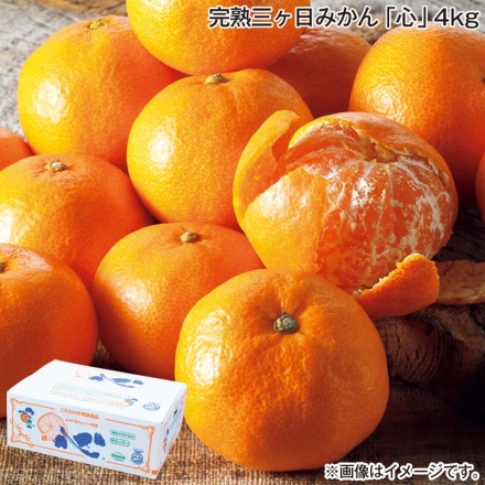 お歳暮のし付き 完熟三ヶ日みかん「 心 」4ｋｇ