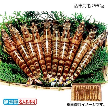 お歳暮のし付き 活車海老 260ｇ