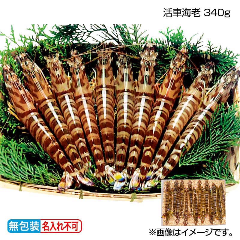 お歳暮のし付き 活車海老 340ｇ