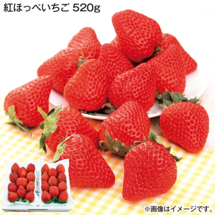 お歳暮のし付き 静岡の紅ほっぺいちご 520ｇ