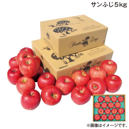 お歳暮のし付き サンふじ 5ｋｇ