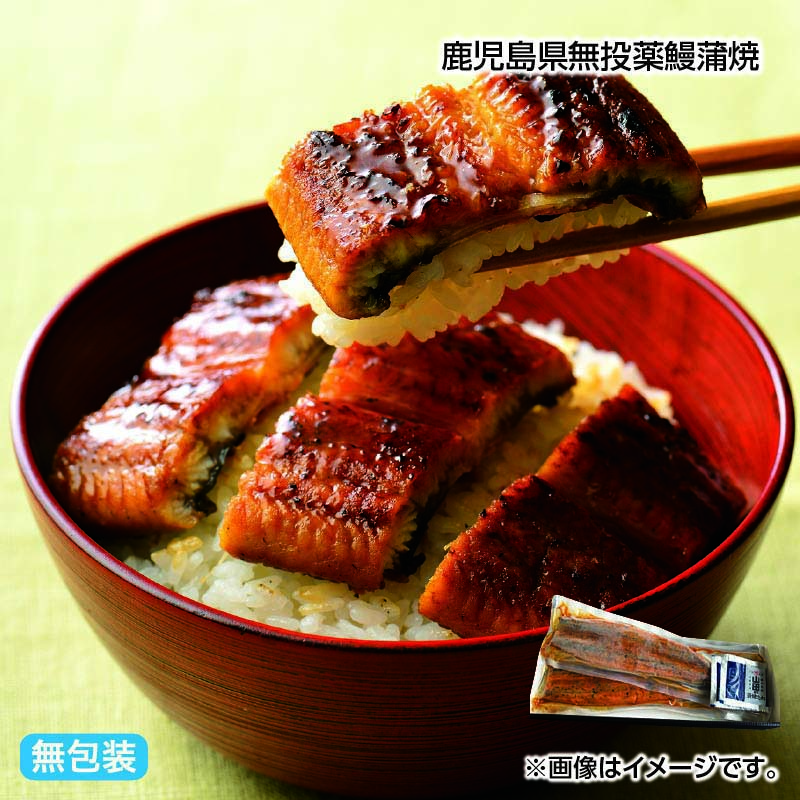 お歳暮のし付き 鹿児島県無投薬鰻蒲焼 鰻蒲焼188g・蒲焼のたれ10ml（山椒付） 各2