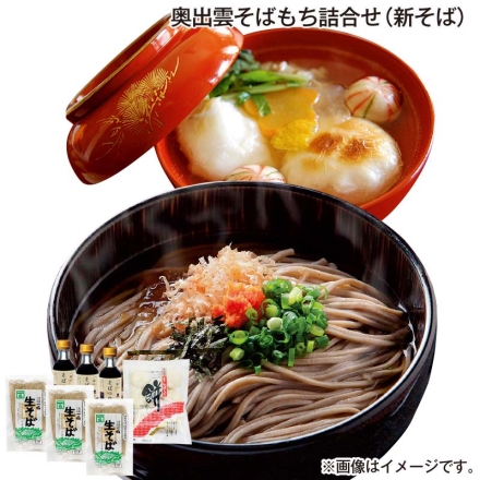 お歳暮のし付き 奥出雲そばもち詰合せ（新そば） なまめん240g・そばつゆ150ml 各3、杵つき餅360g