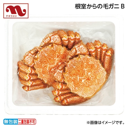 お歳暮のし付き 根室からの毛ガニＡ 800g（2杯）