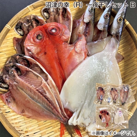 お歳暮のし付き 沼津の幸（Ｒ）一夜干しセット Ｂ 真あじ（80g×2）×2、かます80g×3、金目鯛・いか 各130g