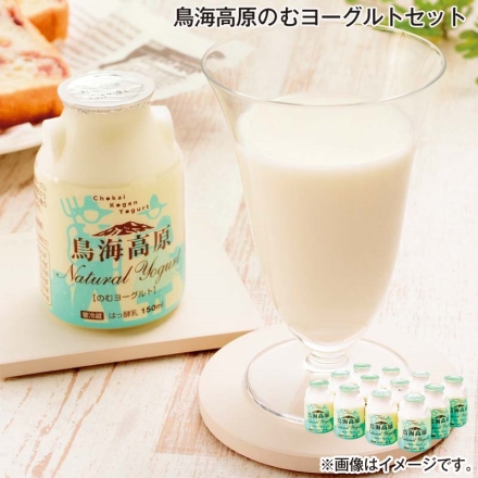 お歳暮のし付き 鳥海高原のむヨーグルトセット 150ml×12