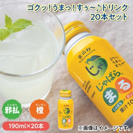 ゴクッ！うまっ！すぅ～♪ドリンク20本セット
