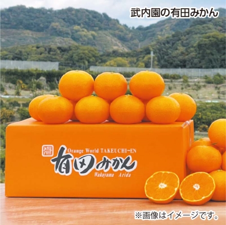 武内園の有田みかん 3kg（S又はM、秀品）
