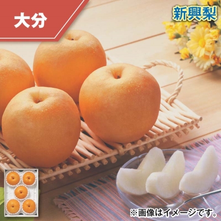 新興梨 2kg（5～6個）