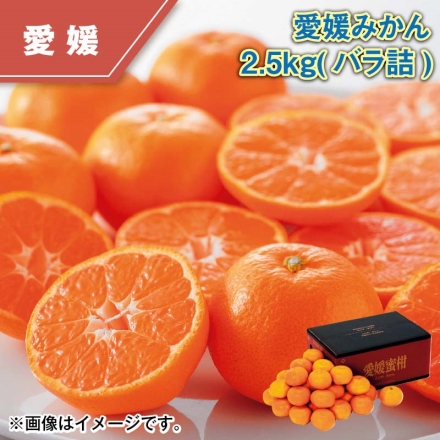 愛媛みかん 2.5ｋｇ（バラ詰）