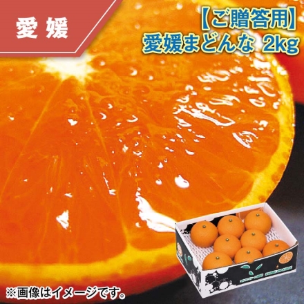 ご贈答用 愛媛マドンナ 2ｋｇ