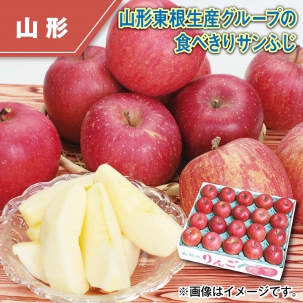 山形東根生産グループの食べきりサンふじ 5kg（秀又は丸秀：18～24個）