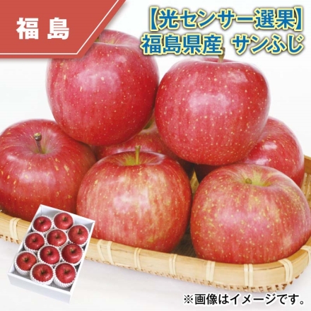 光センサー選果 福島県産 サンふじ 3kg（9～11個）