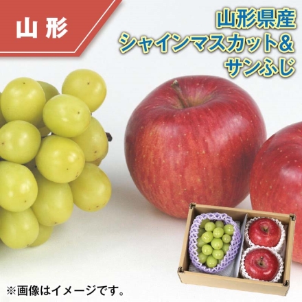 山形県産 シャインマスカット＆サンふじ シャインマスカット400g、サンふじ2個