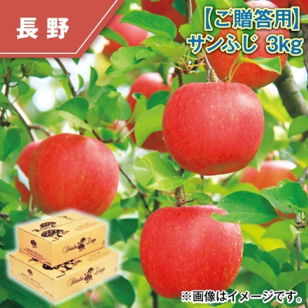 ご贈答用 サンふじ 3ｋｇ