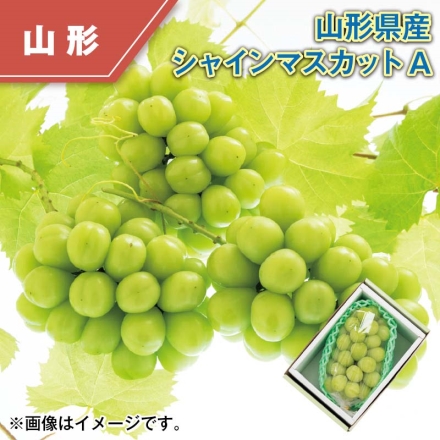 山形県産 シャインマスカットＡ 500g（1房）