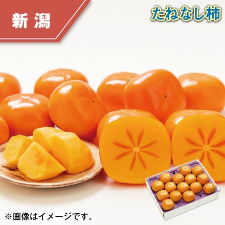 たねなし柿 2.5kg（12～15個）