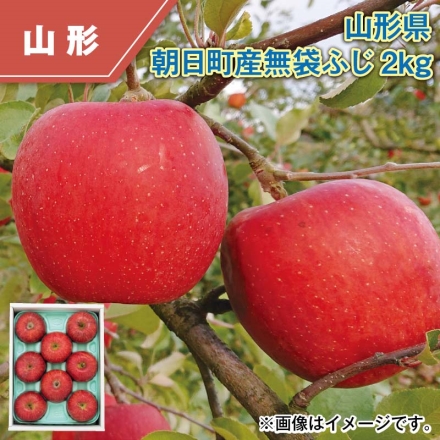 山形県朝日町産 無袋ふじ 2ｋｇ