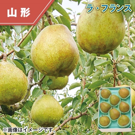 ラ・フランス 2kg（2L：8個又は3L：7個又は4L：6個）