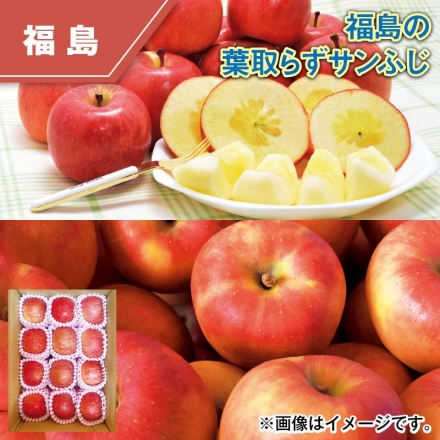 福島の葉取らずサンふじ 3kg（9～12個）