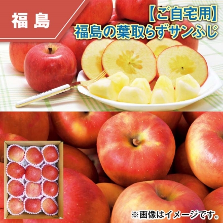 ご自宅用 福島の葉取らずサンふじ 3kg（9～13個）