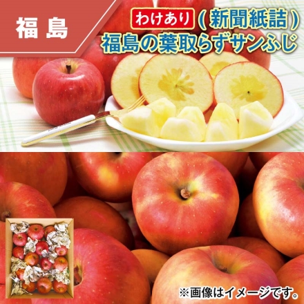 わけあり（新聞紙詰）福島の葉取らずサンふじ 10kg