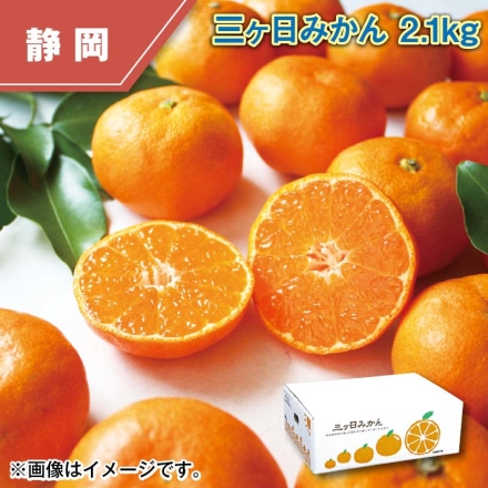 三ヶ日みかん 2.1ｋｇ