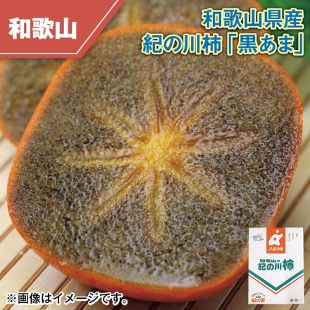 和歌山県産 紀の川柿「 黒あま 」 3.2kg（12～15個）