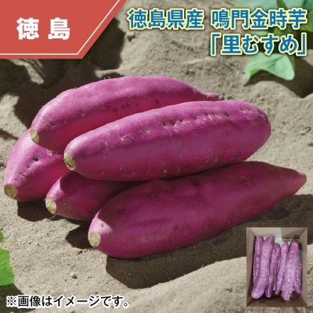徳島県産 鳴門金時芋「 里むすめ 」 2kg（6～15本）
