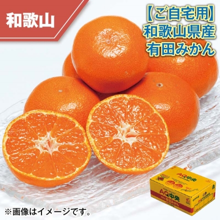 ご自宅用 和歌山県産 有田みかん 3kg（S～L）