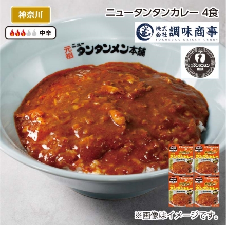 ニュータンタンカレー Ｂ（4食）