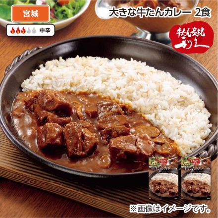 大きな牛たんカレー（2食）