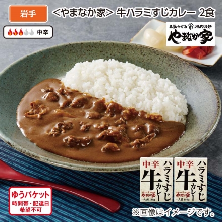 ＜やまなか家＞牛ハラミすじカレー 2食
