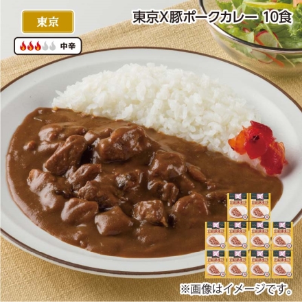 東京Ｘ豚ポークカレー Ｂ（10食）