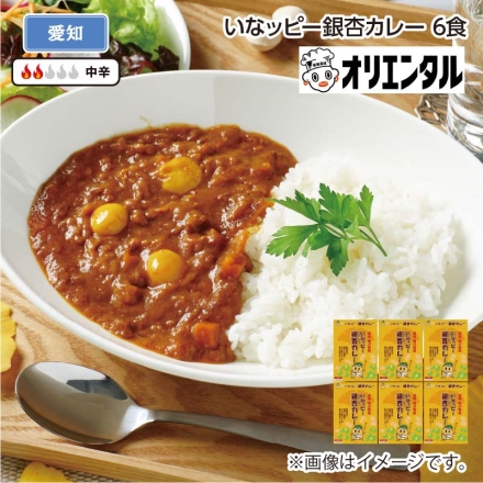 いなッピー銀杏カレー Ｂ（6食）