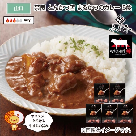 やまぐち和牛燦 牛すじビーフカレー Ｂ（5食）