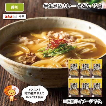 半生煮込カレーうどん Ｂ（12食）