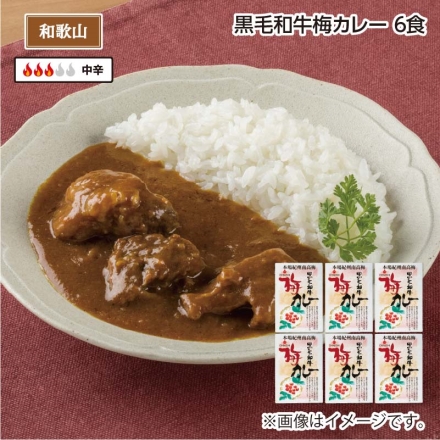 黒毛和牛梅カレー Ｂ（6食）