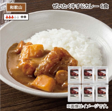 ぜいたく牛すじカレー Ｂ（6食）