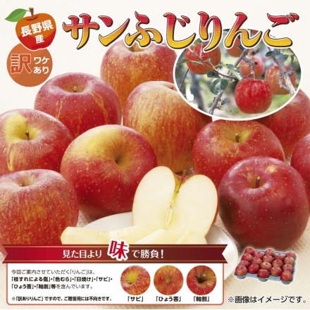 長野県産 訳ありサンふじりんご 5ｋｇ 送料込み