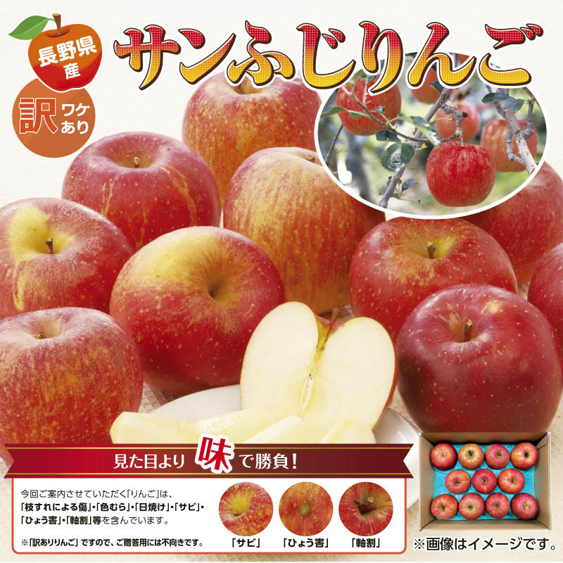 長野県産 訳ありサンふじりんご 2.5ｋｇ 送料込み