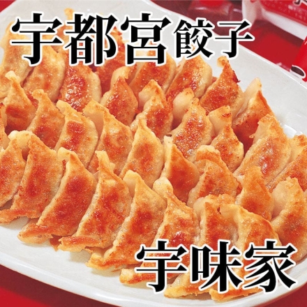 宇都宮餃子 宇味家 （餃子20g×20、タレ30g）×3